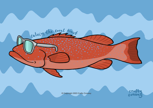 Calvin the Coral Trout