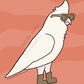 Carl the Corella print